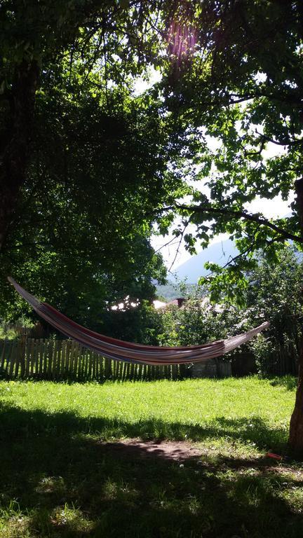 Guesthouse Mountain View Mestia Buitenkant foto