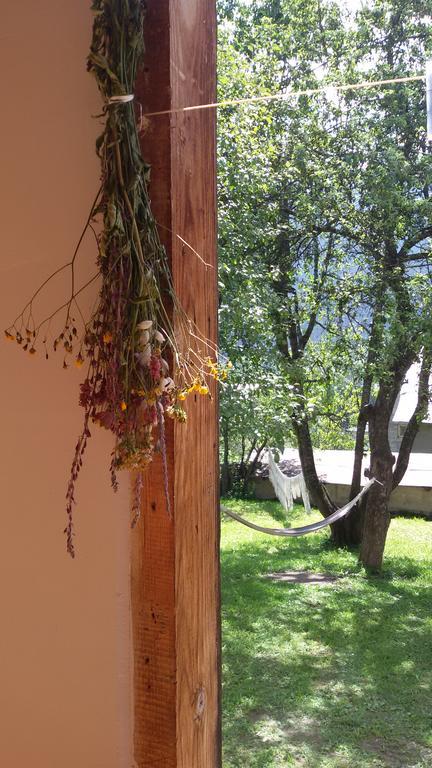 Guesthouse Mountain View Mestia Buitenkant foto